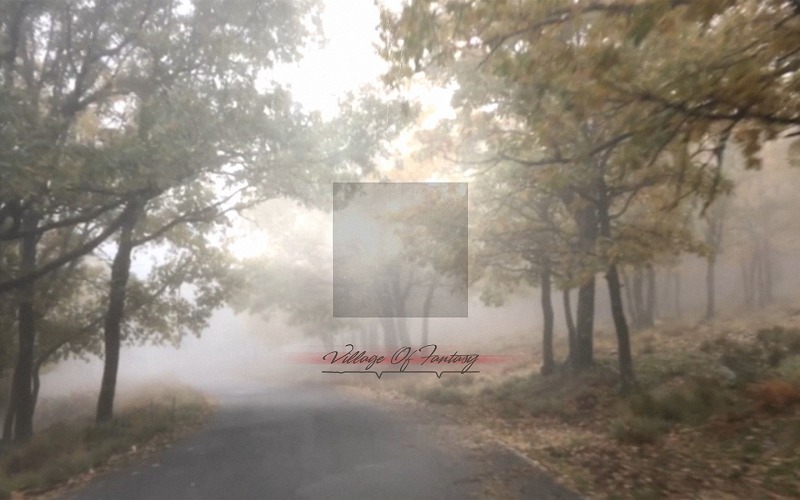 Take A Walk / VILLAGE OF FANTASY