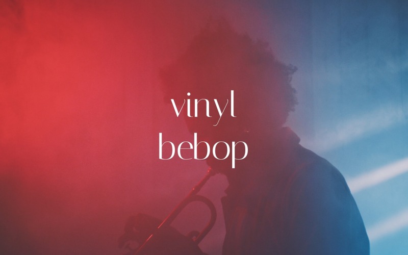 Verloren und gefunden / Vinyl Bebop