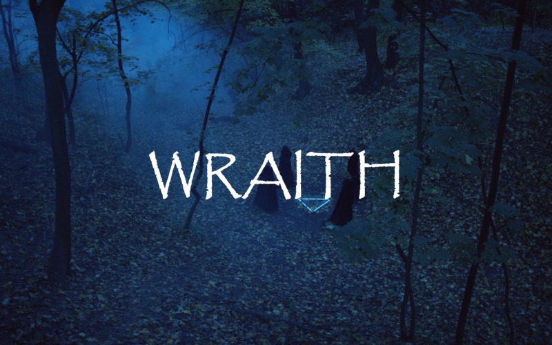 Gallows Quarantine / WRAITH