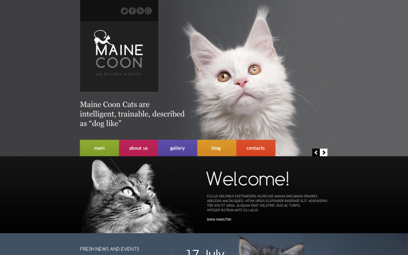Cat Responsive Web Sitesi Şablonu