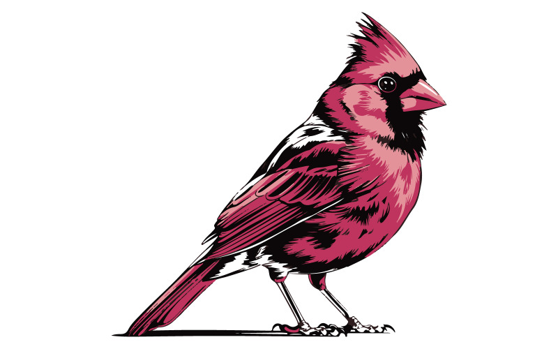 A vector graphic of a red cardinal bird