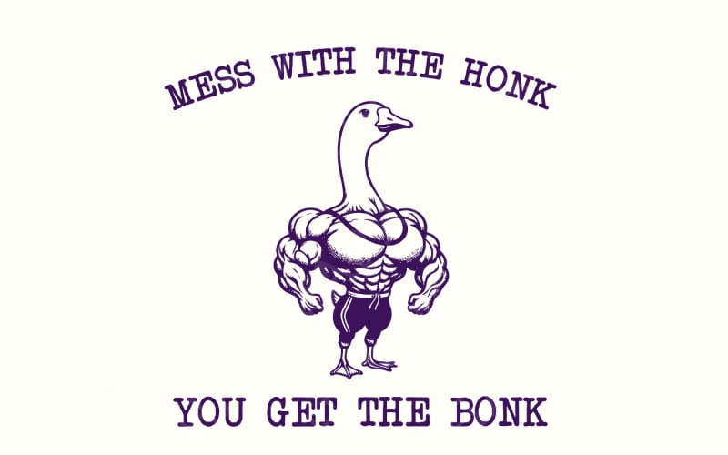 Suona il clacson e ottieni il bonk PNG, Oca divertente PNG, Oca png, Regalo per gli amanti delle oche, Clacson png,