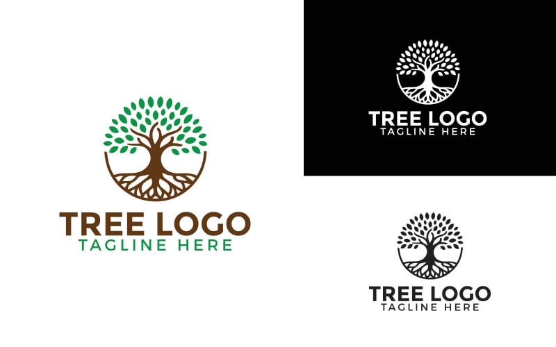 Creative Sample Tree Logo Template