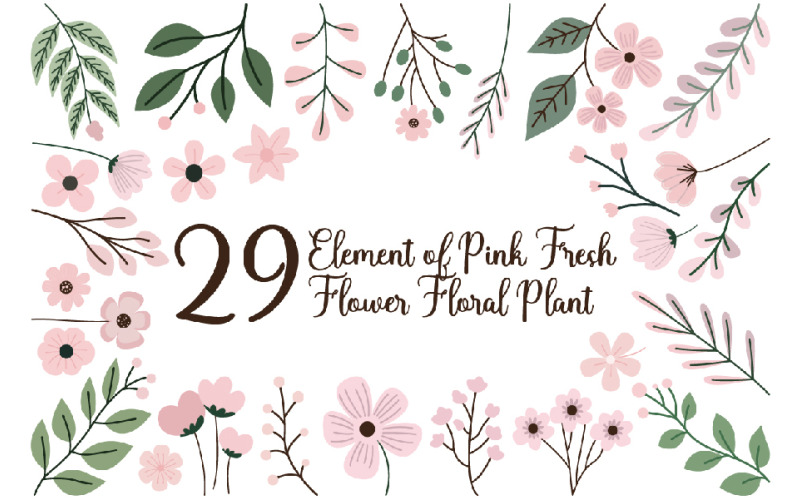 29 éléments de la plante florale à fleurs fraîches roses