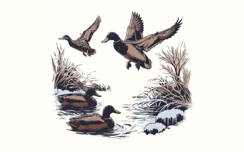 Vintage Duck PNG, Klipart kaczki krzyżówki, Sublimacja dzikiej kaczki, Polowanie na latające kaczki, Bagno PNG,