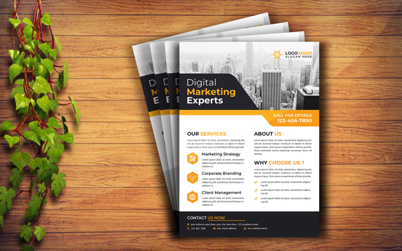 Corporate Flyer Ontwerp Sjabloon V11