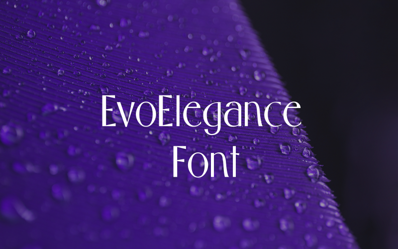 EvoElegance Fonte-única-031-24