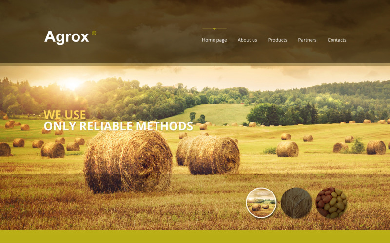 Адаптивный шаблон веб-сайта для фермы