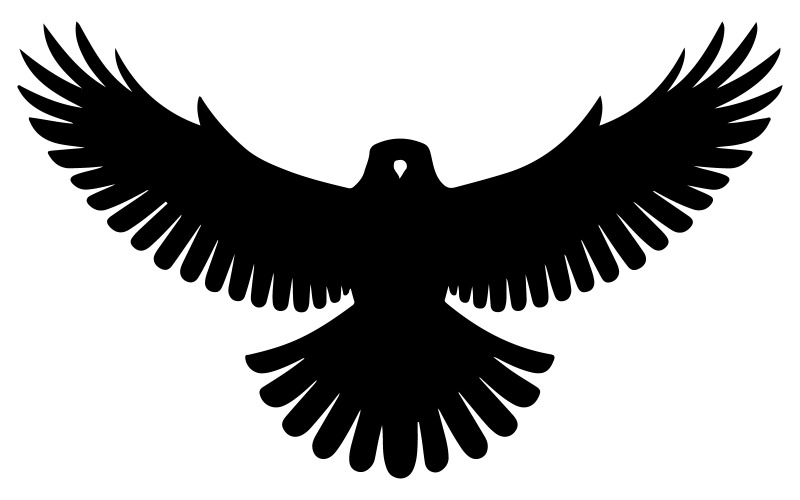 Silhouet van een vliegende havik met vleugels
