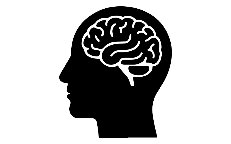 Una ilustración vectorial de una cabeza humana con la silueta de un cerebro.