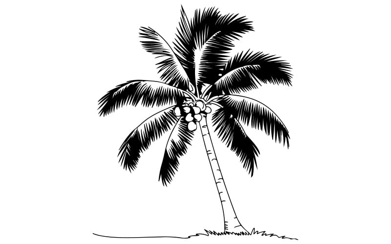 Vektorové ilustrace kokosové palmy