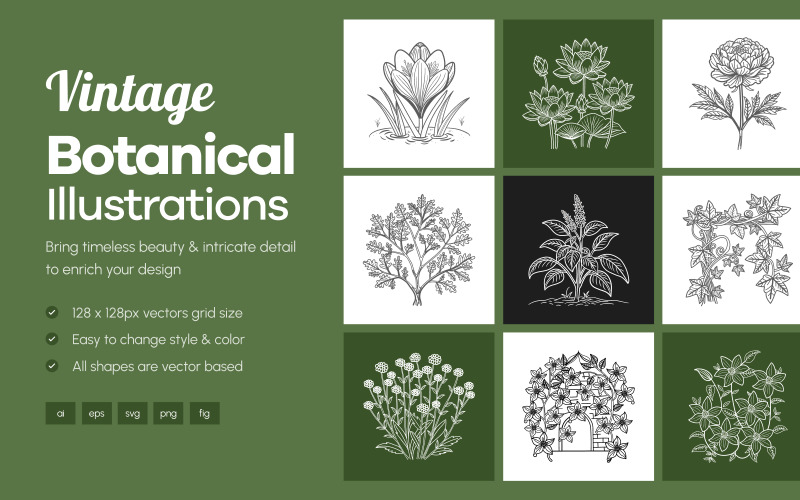 Conjunto de ilustraciones florales y botánicas