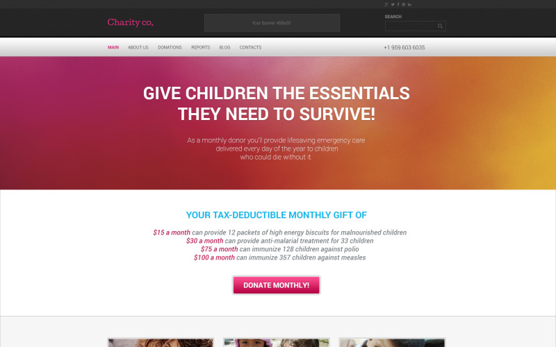 Simple Charity WordPress Teması