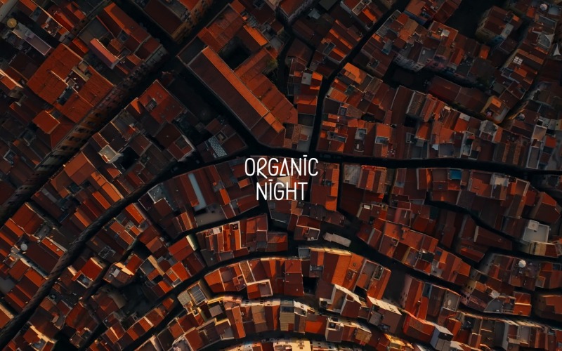 La fuerza tranquila fluye / La noche orgánica