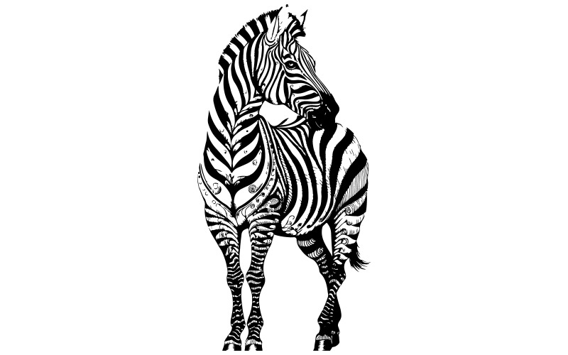 Une illustration d'un zèbre