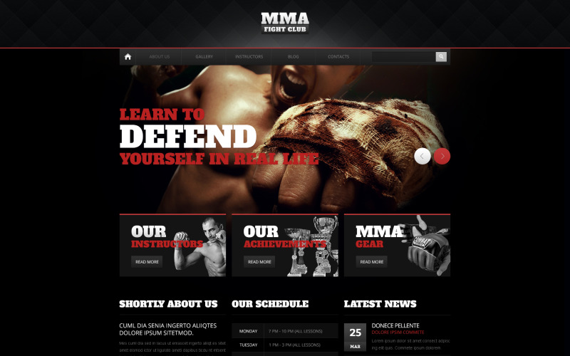 令人震惊的武术Drupal模板