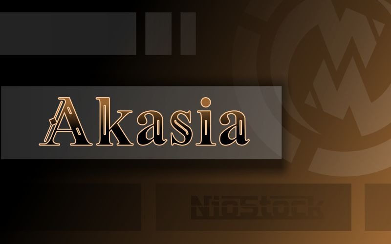 Akasia - Famiglia di caratteri serif Font Design