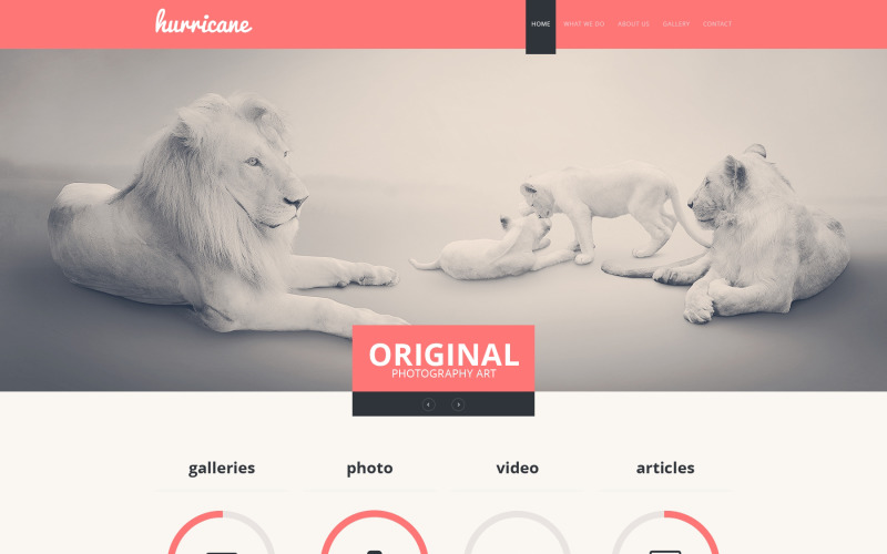 Modello di sito Web del portfolio del fotografo