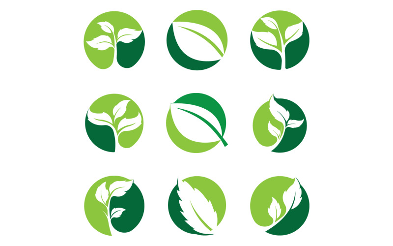 Modello di icona del logo dell'elemento dell'albero foglia verde versione 1