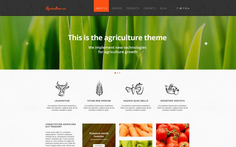 Obst Responsive Website-Vorlage