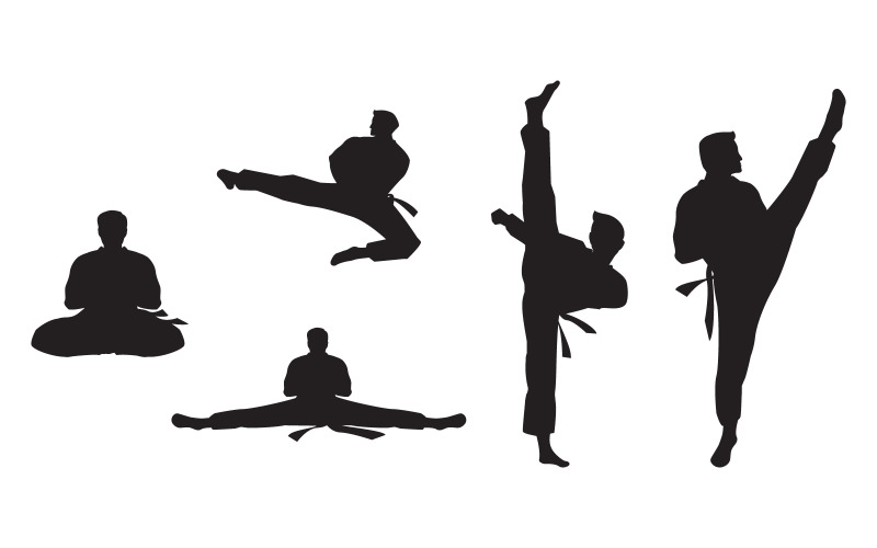 Ícone do esporte Taekwondo silhueta preta Ilustração vetorial Design Template v.2