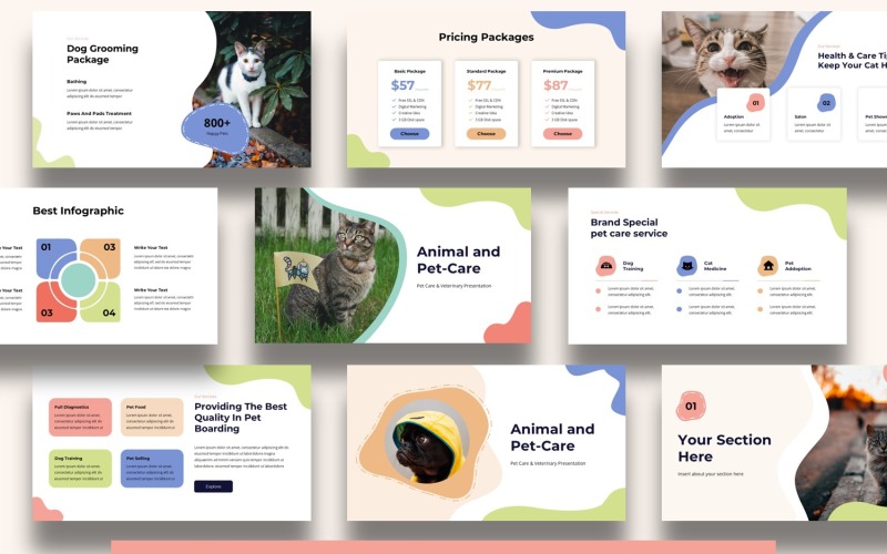 Presentazione PowerPoint sulla cura degli animali e degli animali domestici