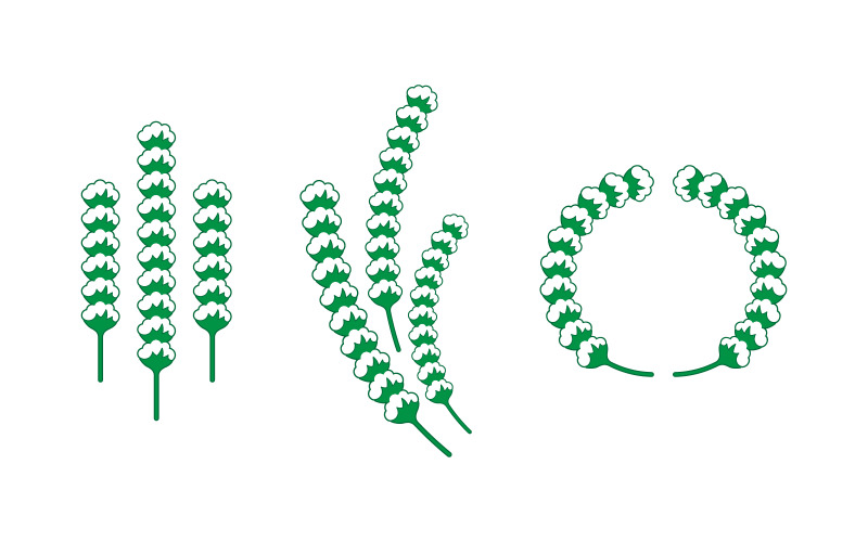 棉花花矢量图标模板符号性质