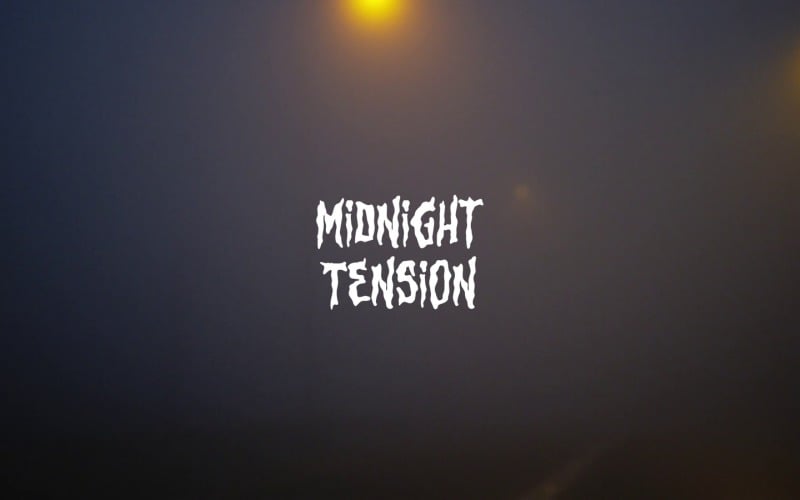 Shadows Harbor Hidden Truths / Midnight Tension