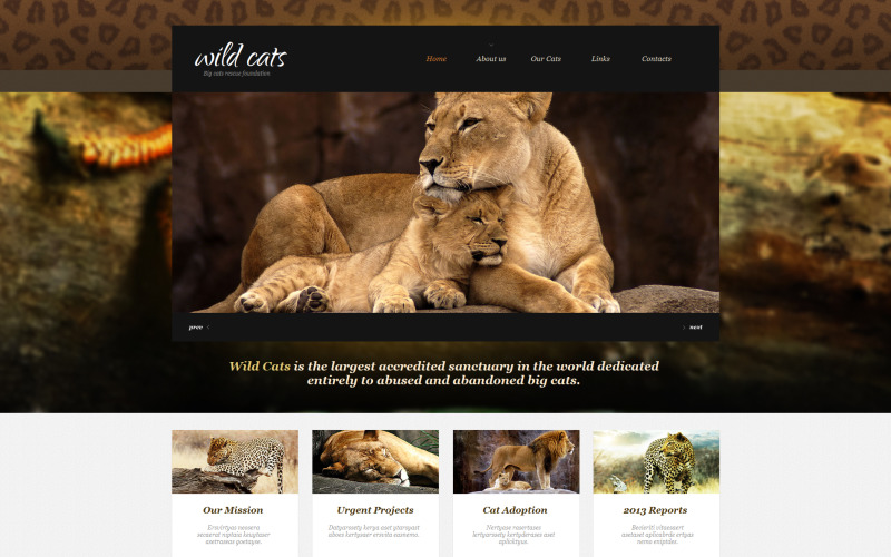 html шаблон wild life moto cms