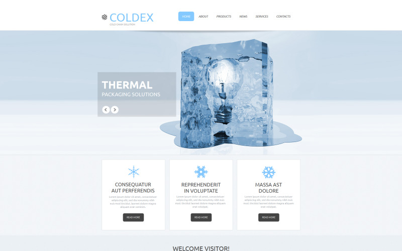 замороженные продукты moto cms html шаблон