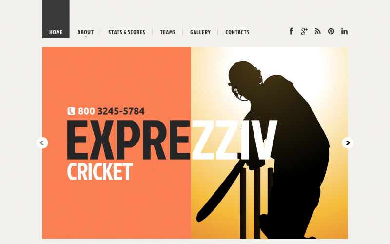 Cricket Responsive Website-Vorlage