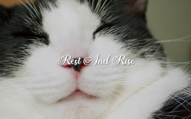 Rise After Every Fall / Rest And Rise