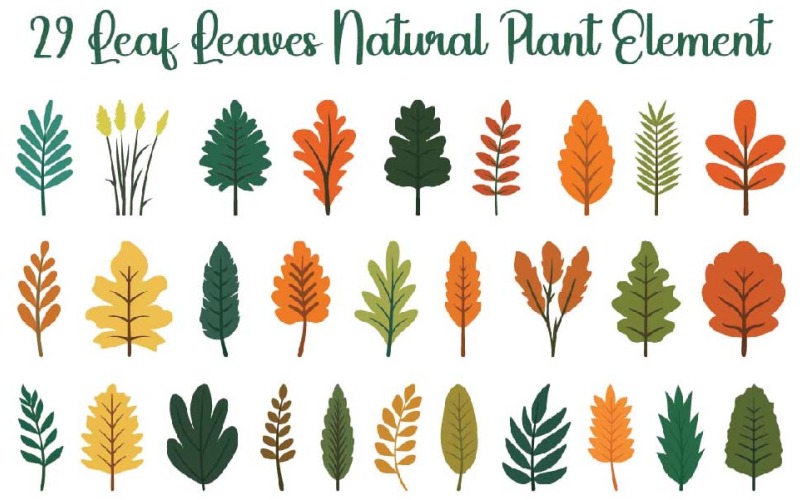 29 Feuilles Élément végétal naturel