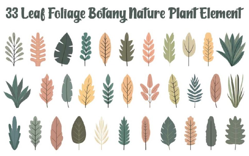 33 Blad Lövverk Botanik Natur Växtelement