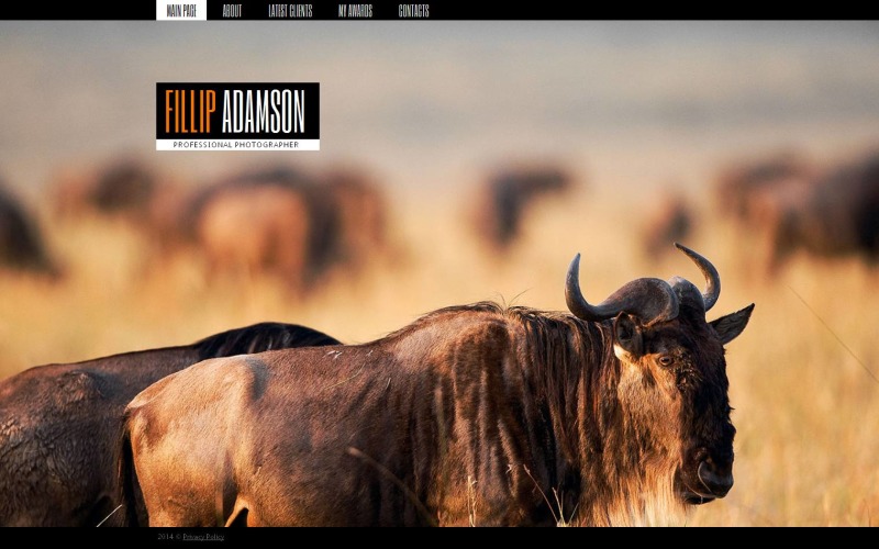 шаблон фотогалереи портфолио фотографа