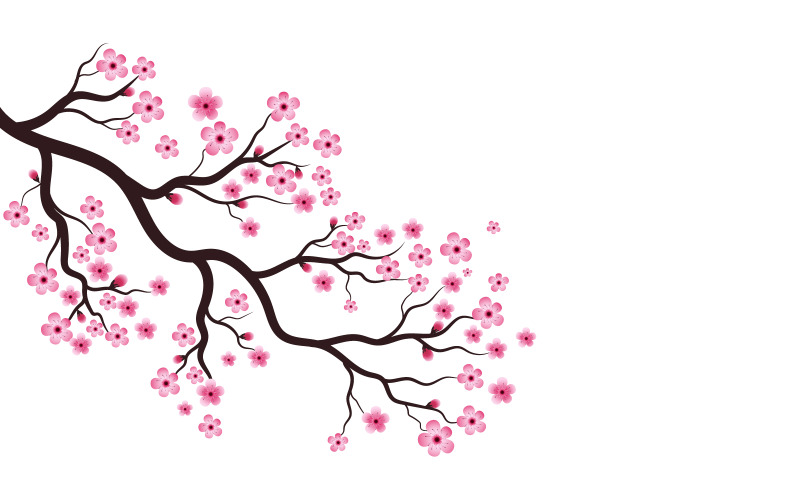 Ramo di albero Sakura Bellezza Giappone Fiore Viaggio Icona vettoriale Illustrazione Design v.3