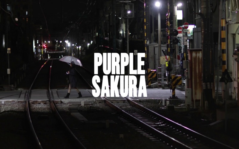 Jag saknar dig / Purple Sakura