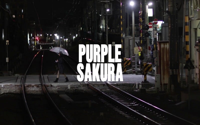 Sonsuza Dek Çiçek Açan / Mor Sakura