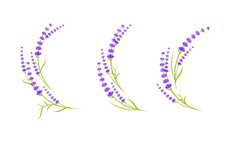 Ilustração de design de ícone vetorial de flor de lavanda Modelo v.17