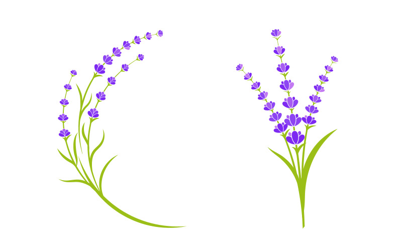 Lavendel blomma Vektor ikon illustration design mall v.10