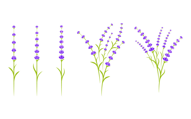 Lavendel blomma Vektor ikon illustration design mall v.1