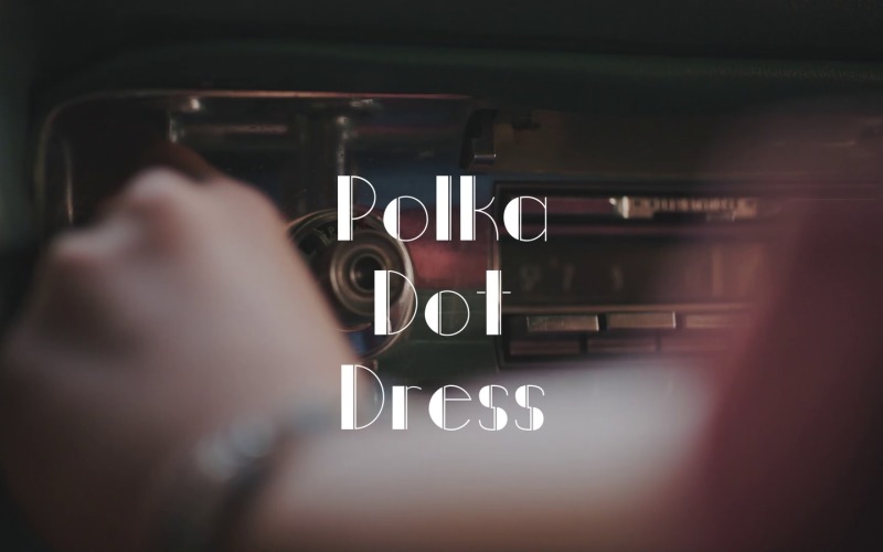 Timeless Dotted Chic / Polka Dot Dress
