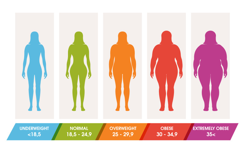 Body mass index vektor illustration designmall v.2