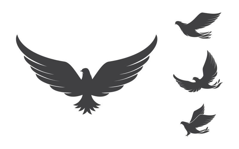 Ícone de asa de falcão Modelo de logotipo ilustração design v.2