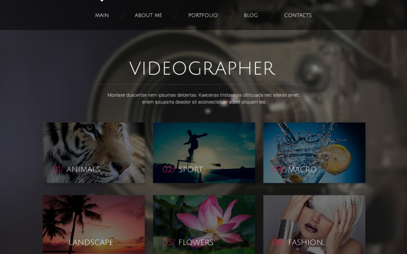 Reagovat na WordPress motiv Videographer