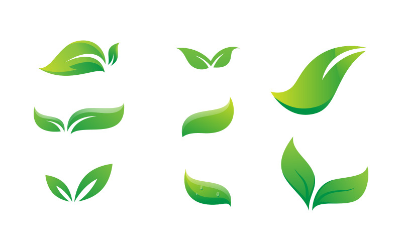 Boomblad ecologie natuur concept element ontwerp sjabloon v.1