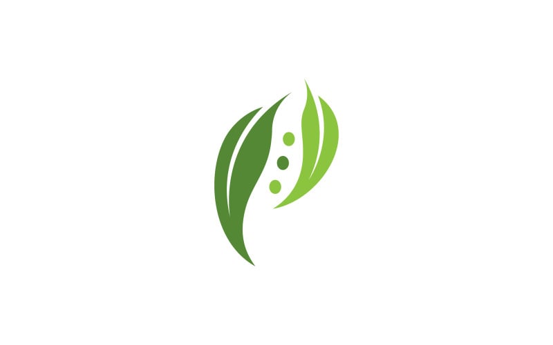 橄榄油叶矢量插图设计模板 v.16
