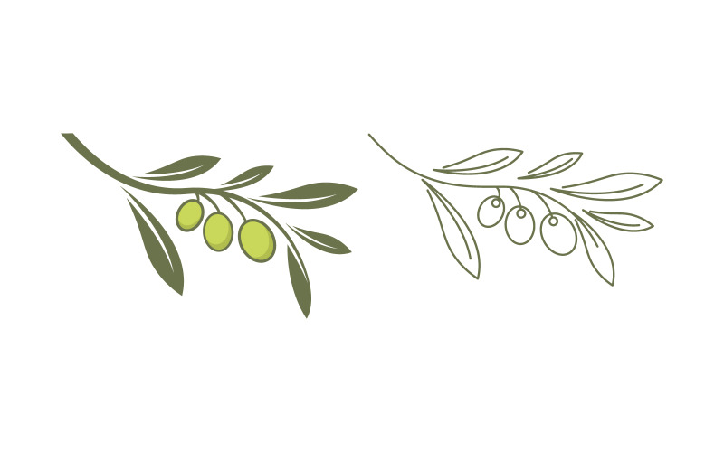 Modèle de conception d'illustration vectorielle de feuille d'huile d'olive v.21