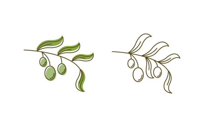 Modello di progettazione dell'illustrazione vettoriale della foglia di olio d'oliva v.6