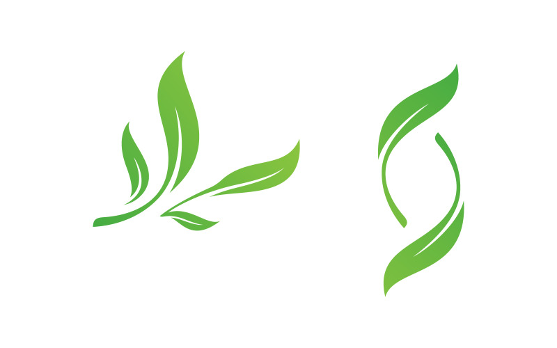 Olijfolie blad vector illustratie ontwerp sjabloon v.11